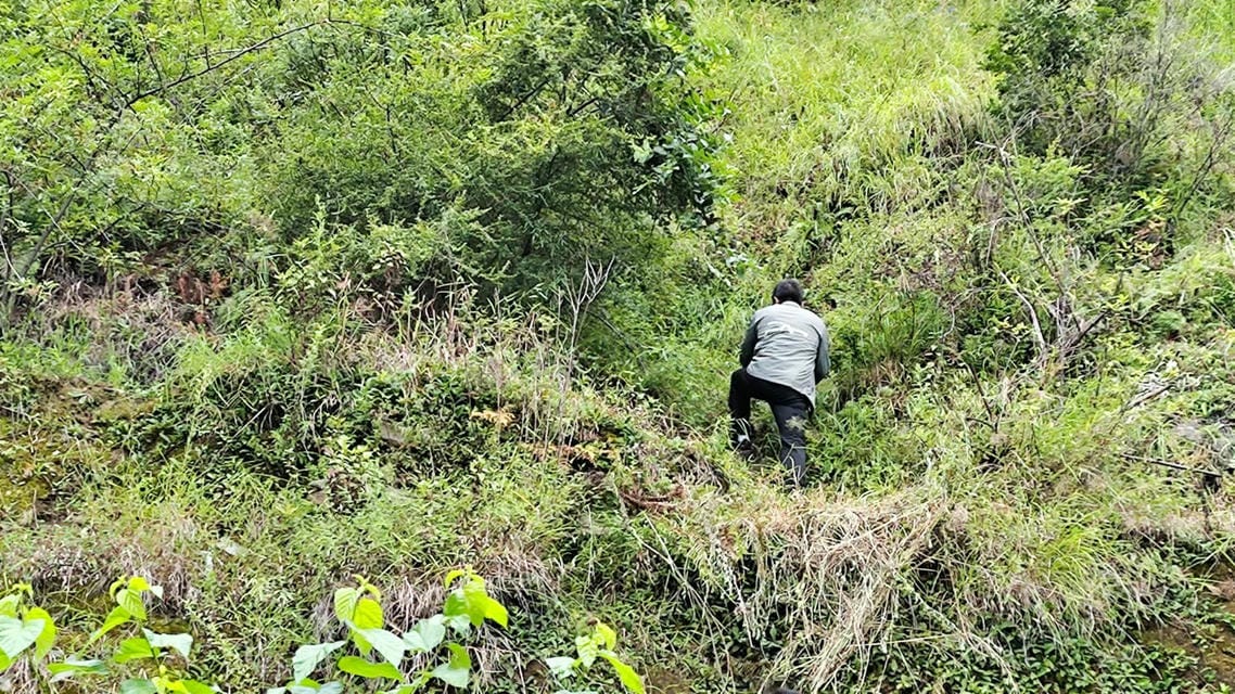 yd2333云顶电子游戏(中国)有限公司