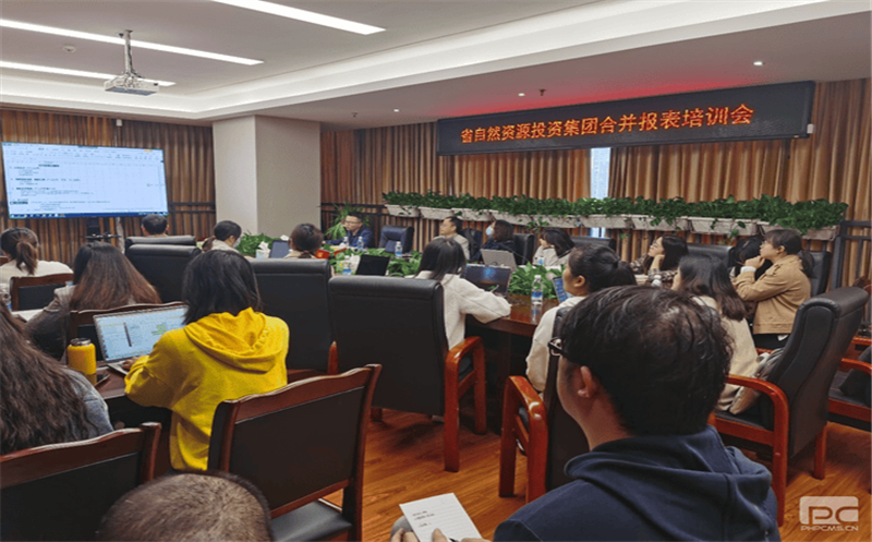 四川yd2333云顶电子游戏开展合并报表专题培训会