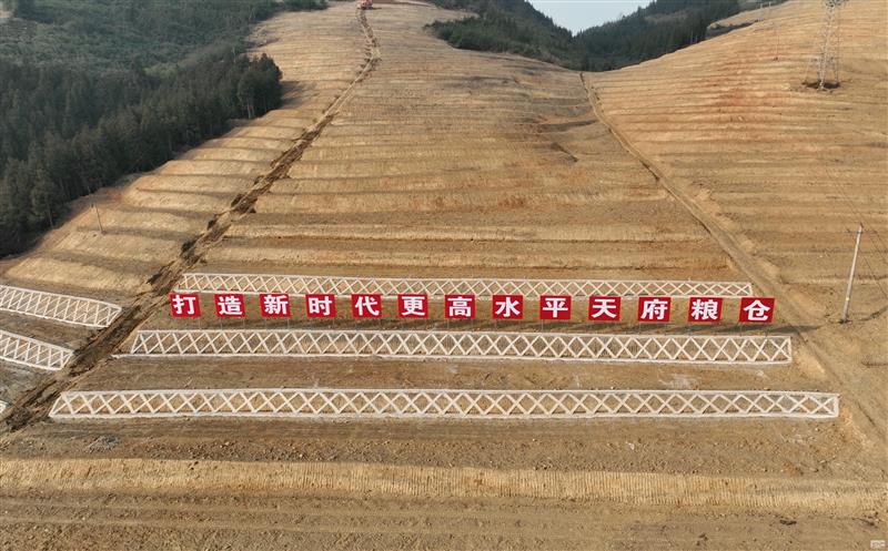 系统性谋划，，，，，，，高标准实验——四川yd2333云顶电子游戏助力建设新时代更高水平“天府粮仓”