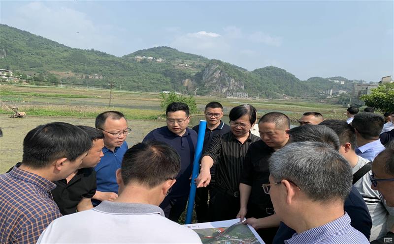 古蔺县委主要向导赴大村煤炭项目实地专题调研矿产yd2333云顶电子游戏发动型小城镇妄想建设