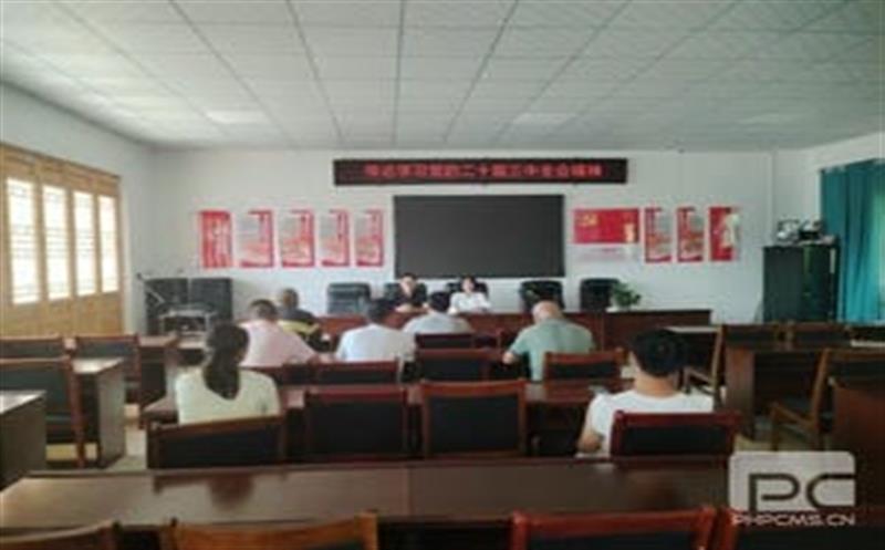 学习党的二十届三中全会精神，，，，，，华锋钻探助力墟落振兴新征程