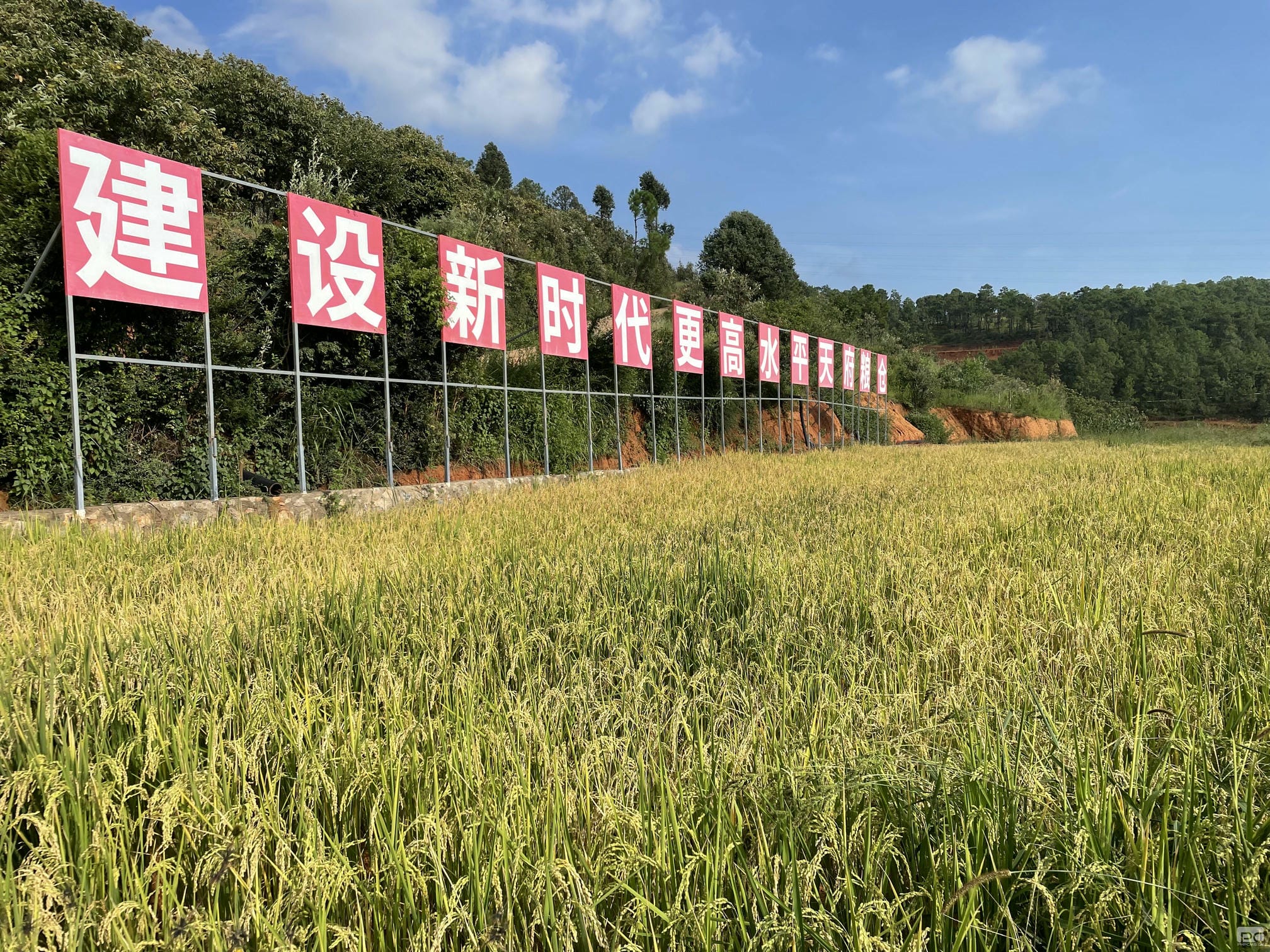 yd2333云顶电子游戏(中国)有限公司